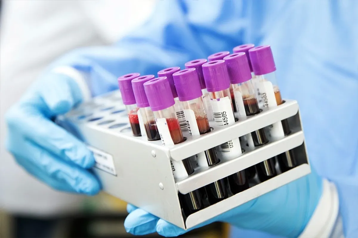 LABORATUVAR HİZMETLERİ